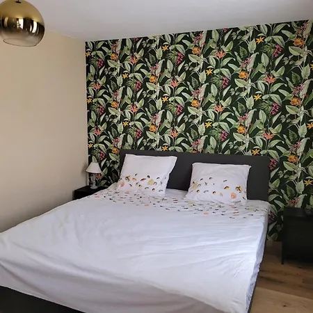 Dog-friendly In Valkenburg, Cleaning Included *